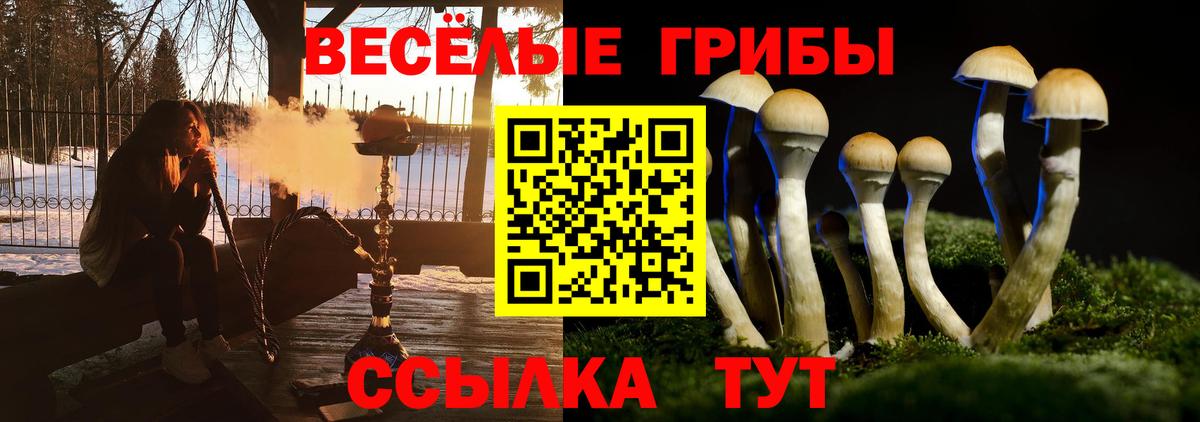Минеральные Воды  Галлюциногенные грибы GOLDEN TEACHER  сколько стоит  Галлюциногенные грибы Cubensis  Вход с VPN 